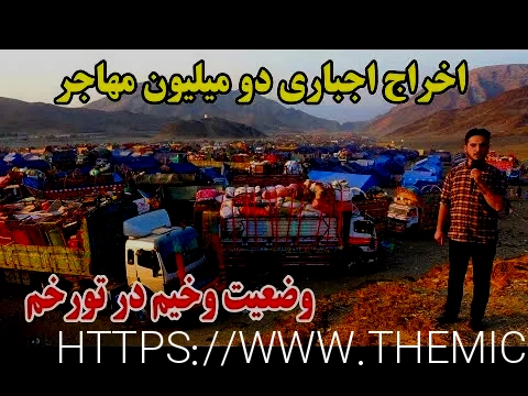 باربری