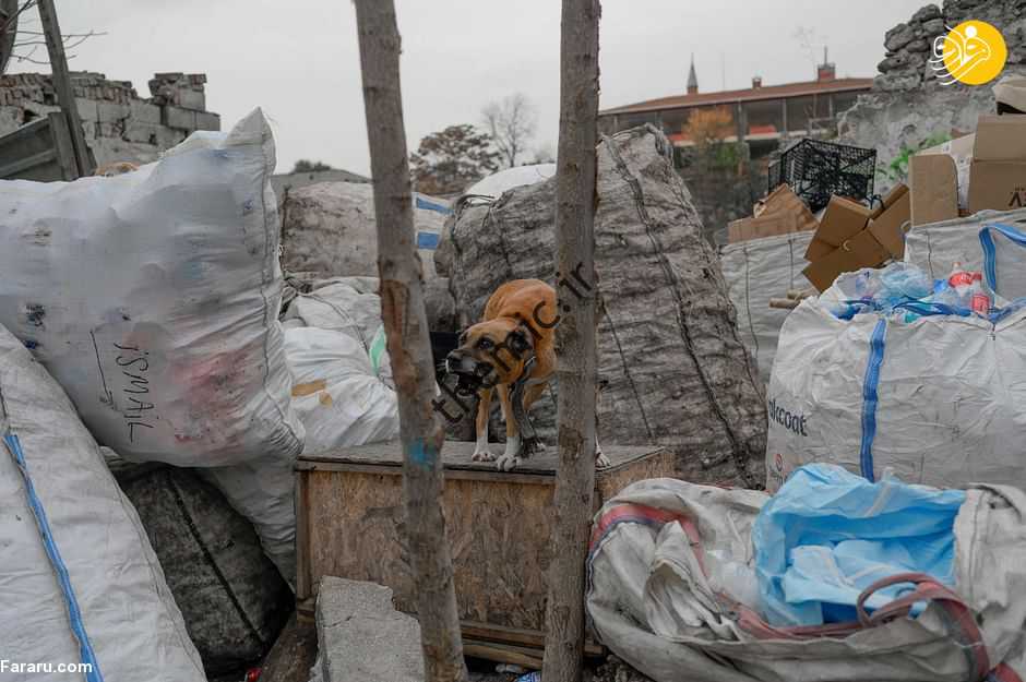 (فیلم) پناهجویان در استانبول زباله می ریزند